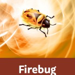 "Firebug – Crashkurs. Code- und Webseitennalyse mit der Firefox-Erweiterung und den Browser-eigenen Entwicklungstools" mit Ralph Steyer bei Video2Brain